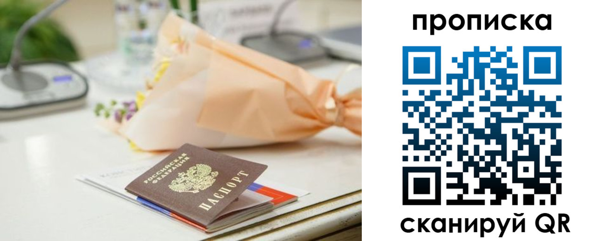 прописка гарантия в Брянской области